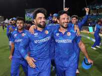 的温暖底色 的温暖底色