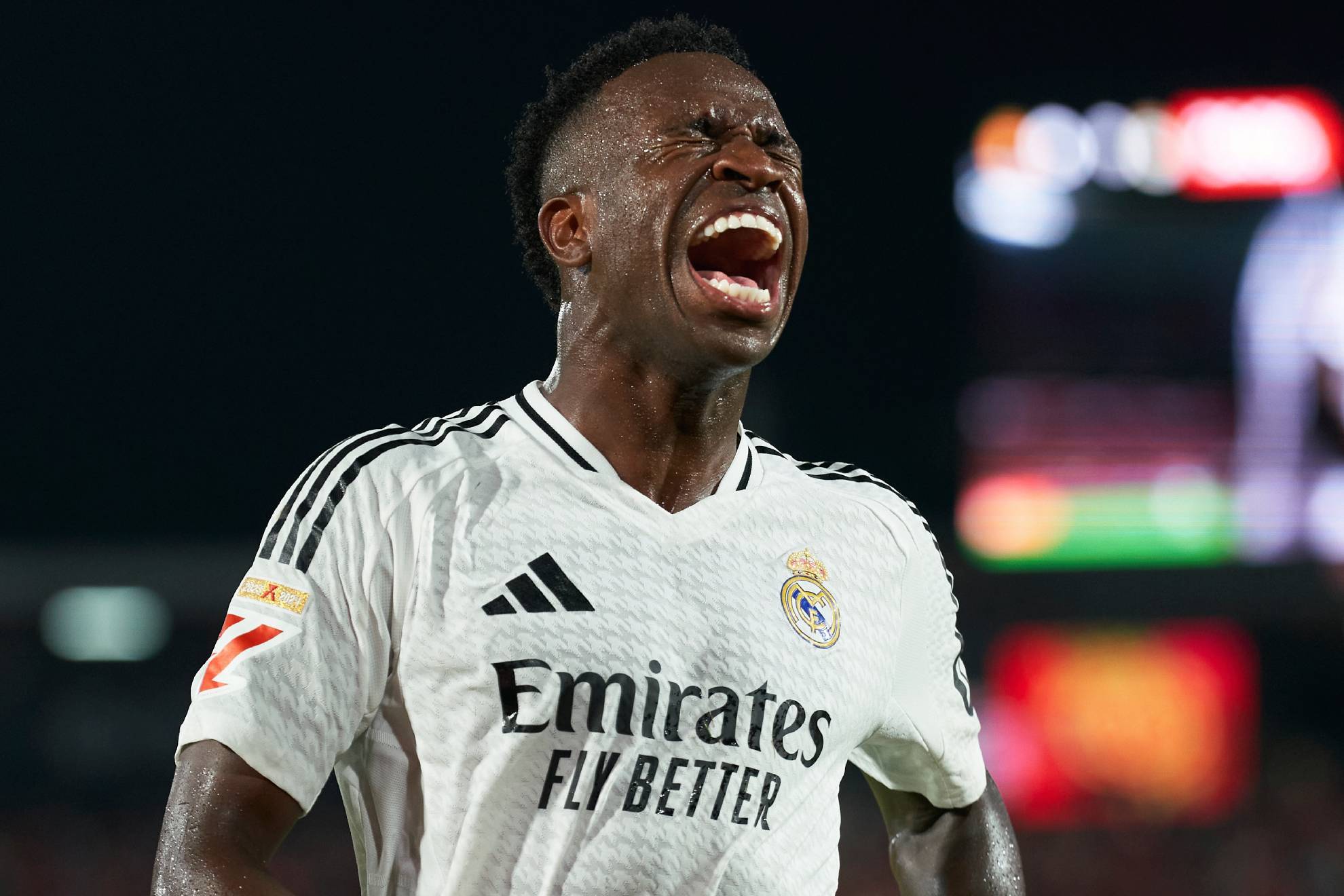 青岛海牛 青岛海牛